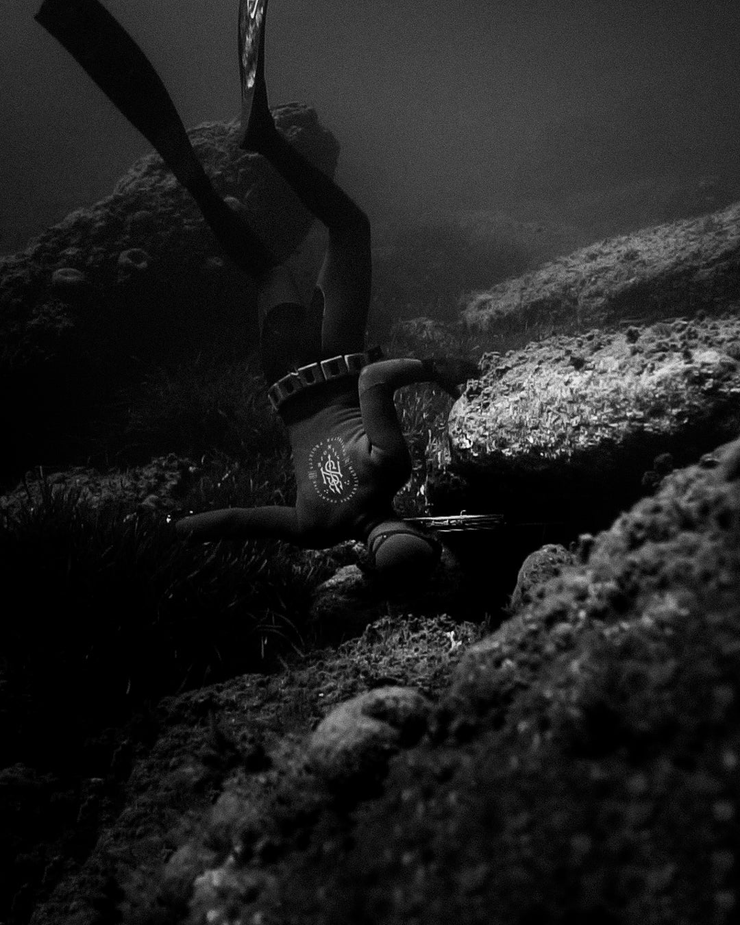 Mailles-et-Quotas-Chasse-Sous-Marine-2026-Le-Guide-Détaillé-par-Zone-Atlantique-Méditerranée Sel Noir Project